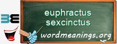 WordMeaning blackboard for euphractus sexcinctus